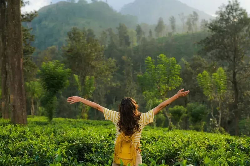 13 Giorni Viaggio per Amare lo Sri Lanka